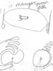 *Auto-rotisme 1 de 4